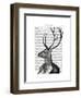 Deer Portrait 2-Fab Funky-Framed Art Print