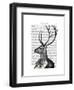 Deer Portrait 2-Fab Funky-Framed Art Print