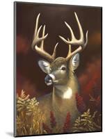 Deer Portrait-Leo Stans-Mounted Art Print