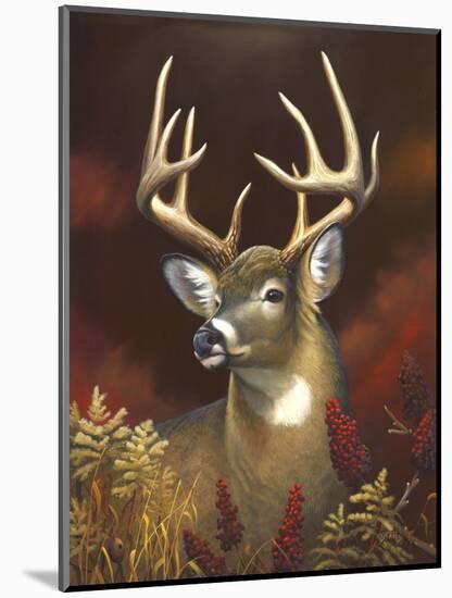 Deer Portrait-Leo Stans-Mounted Art Print