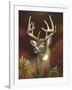 Deer Portrait-Leo Stans-Framed Art Print