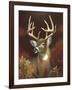 Deer Portrait-Leo Stans-Framed Art Print