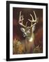 Deer Portrait-Leo Stans-Framed Art Print