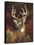 Deer Portrait-Leo Stans-Framed Stretched Canvas