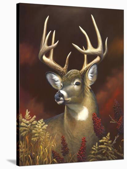 Deer Portrait-Leo Stans-Stretched Canvas