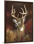 Deer Portrait-Leo Stans-Framed Art Print