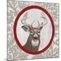 Deer Portrait-Gigi Begin-Mounted Giclee Print