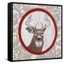 Deer Portrait-Gigi Begin-Framed Stretched Canvas