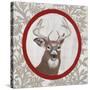 Deer Portrait-Gigi Begin-Stretched Canvas