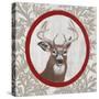 Deer Portrait-Gigi Begin-Stretched Canvas