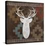 Deer Rack-Erin Clark-Stretched Canvas