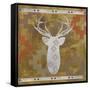 Deer Rack-Erin Clark-Framed Stretched Canvas