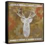 Deer Rack-Erin Clark-Framed Stretched Canvas