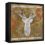 Deer Rack-Erin Clark-Framed Stretched Canvas