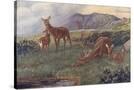Stretched Canvas