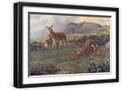 Black Frame