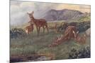 Wood Mount