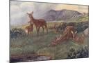 Wood Mount