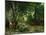 Deer Reserve at Plaisir Fontaine, 1866-Gustave Courbet-Mounted Giclee Print