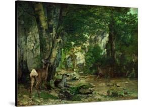 Deer Reserve at Plaisir Fontaine, 1866-Gustave Courbet-Stretched Canvas