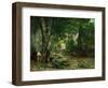 Deer Reserve at Plaisir Fontaine, 1866-Gustave Courbet-Framed Giclee Print