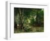 Deer Reserve at Plaisir Fontaine, 1866-Gustave Courbet-Framed Giclee Print