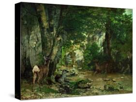 Deer Reserve at Plaisir Fontaine, 1866-Gustave Courbet-Stretched Canvas