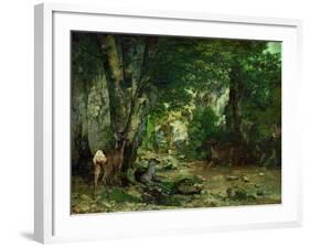 Deer Reserve at Plaisir Fontaine, 1866-Gustave Courbet-Framed Giclee Print