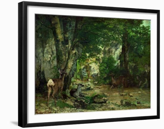 Deer Reserve at Plaisir Fontaine, 1866-Gustave Courbet-Framed Giclee Print