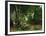 Deer Reserve at Plaisir Fontaine, 1866-Gustave Courbet-Framed Giclee Print