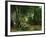 Deer Reserve at Plaisir Fontaine, 1866-Gustave Courbet-Framed Giclee Print