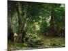Deer Reserve at Plaisir Fontaine, 1866-Gustave Courbet-Mounted Giclee Print