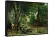 Deer Reserve at Plaisir Fontaine, 1866-Gustave Courbet-Framed Stretched Canvas