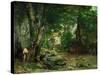 Deer Reserve at Plaisir Fontaine, 1866-Gustave Courbet-Stretched Canvas