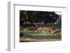 Deer, Richmond Park, Surrey, England, United Kingdom-Walter Rawlings-Framed Photographic Print