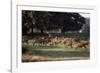 Deer, Richmond Park, Surrey, England, United Kingdom-Walter Rawlings-Framed Photographic Print