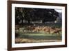 Deer, Richmond Park, Surrey, England, United Kingdom-Walter Rawlings-Framed Photographic Print