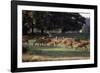 Deer, Richmond Park, Surrey, England, United Kingdom-Walter Rawlings-Framed Photographic Print