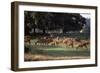 Deer, Richmond Park, Surrey, England, United Kingdom-Walter Rawlings-Framed Photographic Print