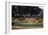 Deer, Richmond Park, Surrey, England, United Kingdom-Walter Rawlings-Framed Photographic Print