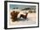 Deer Running in the Snow-Gustave Courbet-Framed Giclee Print