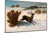 Deer Running in the Snow-Gustave Courbet-Mounted Giclee Print