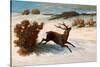 Deer Running in the Snow-Gustave Courbet-Stretched Canvas