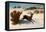 Deer Running in the Snow-Gustave Courbet-Framed Stretched Canvas