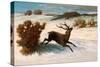 Deer Running in the Snow-Gustave Courbet-Stretched Canvas