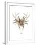 Deer Skull & Flowers I-Naomi McCavitt-Framed Art Print