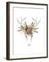 Deer Skull & Flowers I-Naomi McCavitt-Framed Art Print