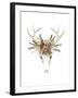 Deer Skull & Flowers I-Naomi McCavitt-Framed Art Print