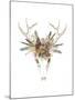 Deer Skull & Flowers I-Naomi McCavitt-Mounted Art Print