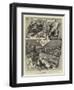 Deer Stalking and Driving in Scotland-null-Framed Giclee Print